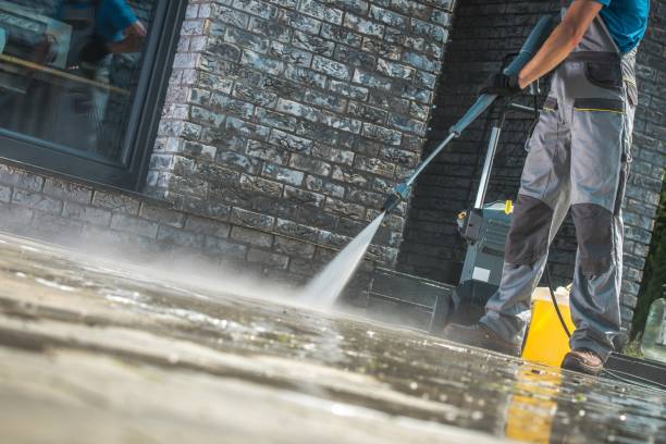 Animal Enclosure Cleaning in Fairview, NJ